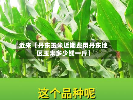 近来【丹东玉米近期费用丹东地区玉米多少钱一斤】