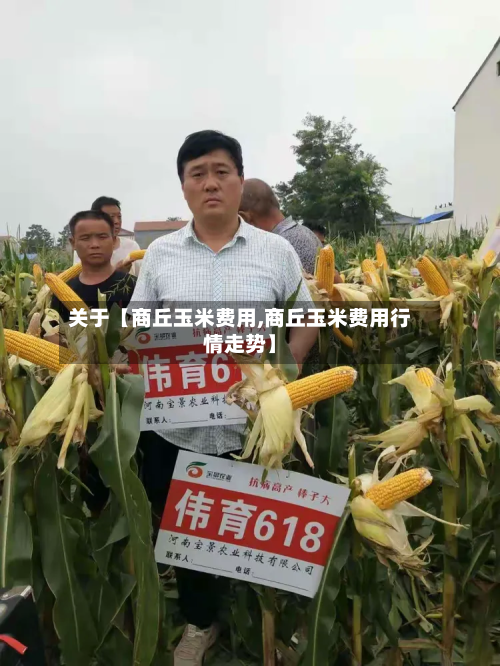 关于【商丘玉米费用,商丘玉米费用行情走势】