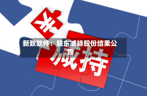 新致软件：股东减持股份结果公告