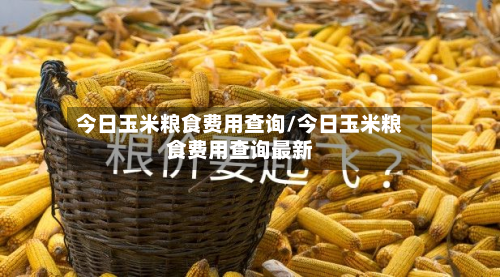 今日玉米粮食费用查询/今日玉米粮食费用查询最新