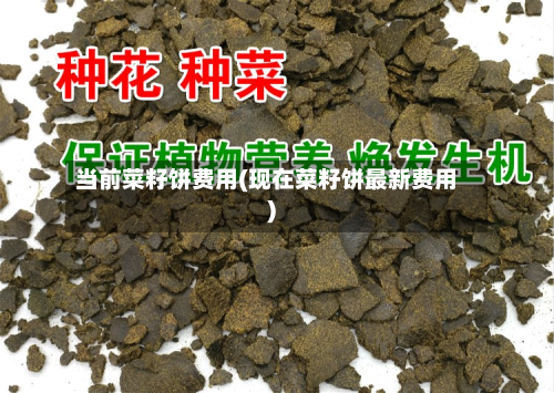 当前菜籽饼费用(现在菜籽饼最新费用)