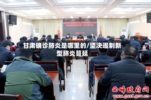甘肃确诊肺炎是哪里的/坚决遏制新型肺炎蔓延