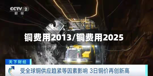 铜费用2013/铜费用2025