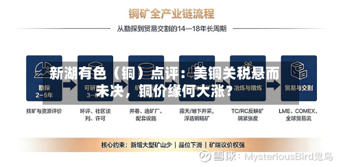 新湖有色（铜）点评：美铜关税悬而未决	，铜价缘何大涨？-第1张图片