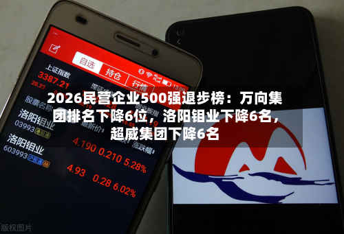 2026民营企业500强退步榜：万向集团排名下降6位，洛阳钼业下降6名，超威集团下降6名