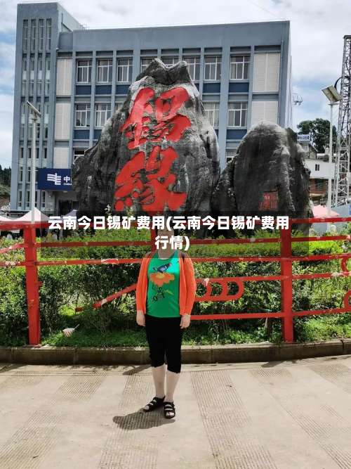 云南今日锡矿费用(云南今日锡矿费用行情)