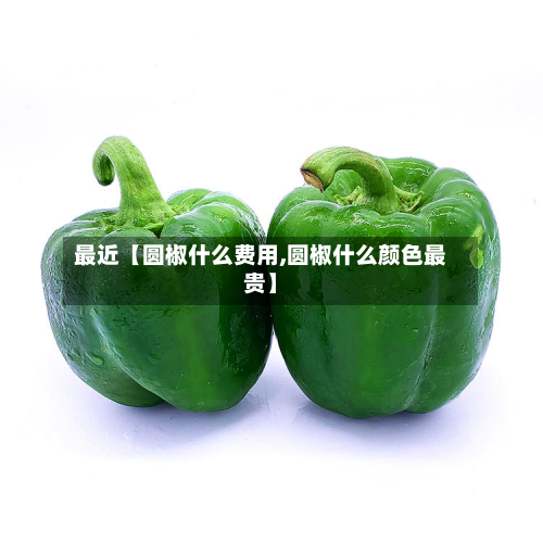 最近【圆椒什么费用,圆椒什么颜色最贵】