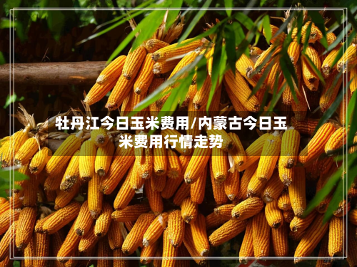 牡丹江今日玉米费用/内蒙古今日玉米费用行情走势-第1张图片