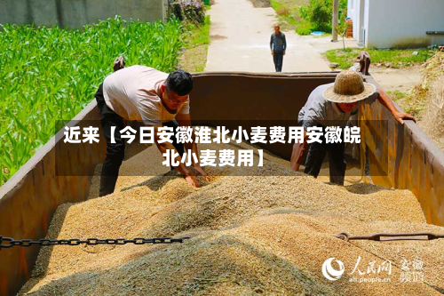 近来【今日安徽淮北小麦费用安徽皖北小麦费用】