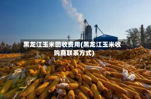 黑龙江玉米回收费用(黑龙江玉米收购商联系方式)
