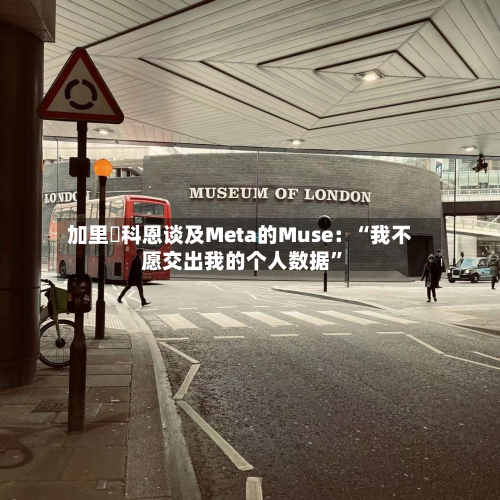 加里・科恩谈及Meta的Muse：“我不愿交出我的个人数据”