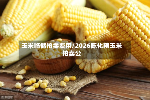 玉米临储拍卖费用/2026陈化粮玉米拍卖公