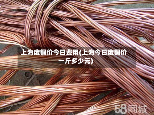 上海废铜价今日费用(上海今日废铜价一斤多少元)