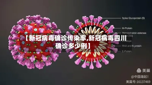 【新冠病毒确诊传染率,新冠病毒四川确诊多少例】