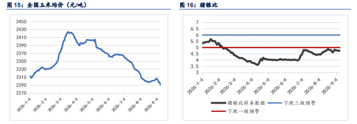 仔猪出生量连降五月 生猪去产能仍任重道远
